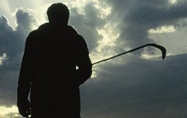 Hasırın öyküsü 1993